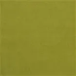 Cassia - Moss Cutting