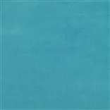 Cassia - Turquoise Cutting