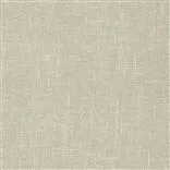 kazumi - putty