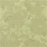 udyana - olive