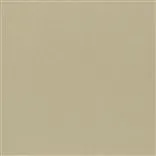 aquarelle - roebuck