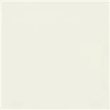 aquarelle - champagne
