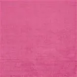 Monceau - Fuchsia Cutting