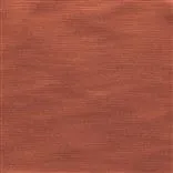 pampas - saffron