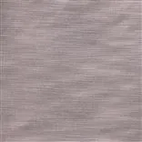 Pampas - Cappuccino Cutting