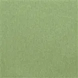 savanna - moss