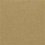 savanna - cinnamon