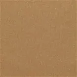 savanna - pumpkin