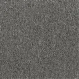 savanna - carbon