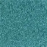 Mojave - Kingfisher Cutting