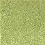 Mojave - Grass Cutting