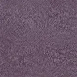 Mojave - Damson coupe