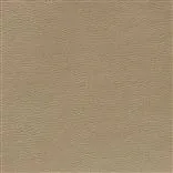 Mojave - Hazel Cutting