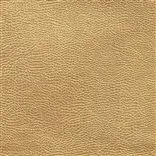 atacama - gold