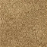 atacama - bronze