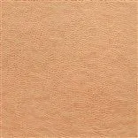atacama - copper