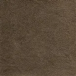 atacama - mocha