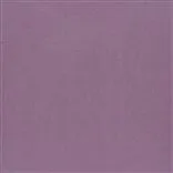 Tiber - Crocus Cutting