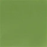 tiber - forest