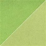 moleskin - absinthe