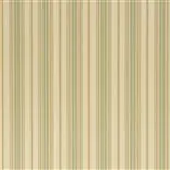pondview ticking stripe - creamsicle