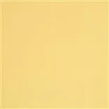 tanara - gold