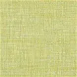 shima - fennel