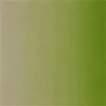padua - grass