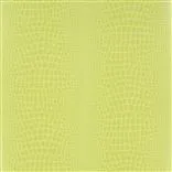 pietra - grass