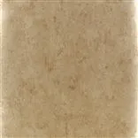 ellora - bronze