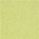 mayura - moss