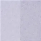 Kalpana - Lilac coupe