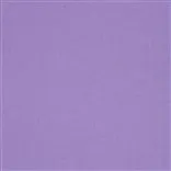 manzoni - crocus