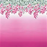 Trailing Rose - Peony Cutting