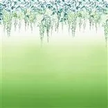 summer palace - grass