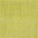Cosia - Leaf Cutting