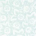 rosario - aqua