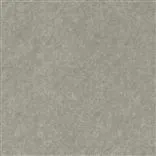 serego - pewter