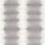 savine - graphite