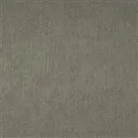 Roseau - Maduro Cutting