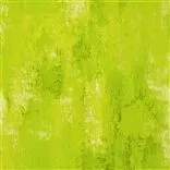 Ajanta - Moss Cutting