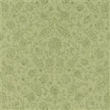 flora - fern