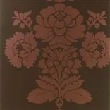 pavlovsk - cocoa