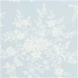 vintage dauphine - sky