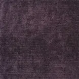 Zaragoza - Plum Cutting