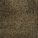 Zaragoza - Chestnut Cutting