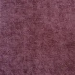 zaragoza - grape