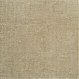 zaragoza - seagrass