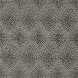 ciottoli - pebble