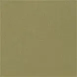 salso - jute